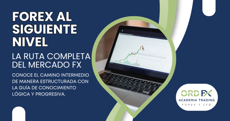 Curso profesional